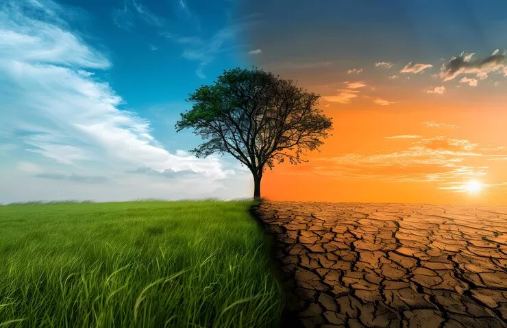 State of the Climate 2024:
                                    Detailed Summary