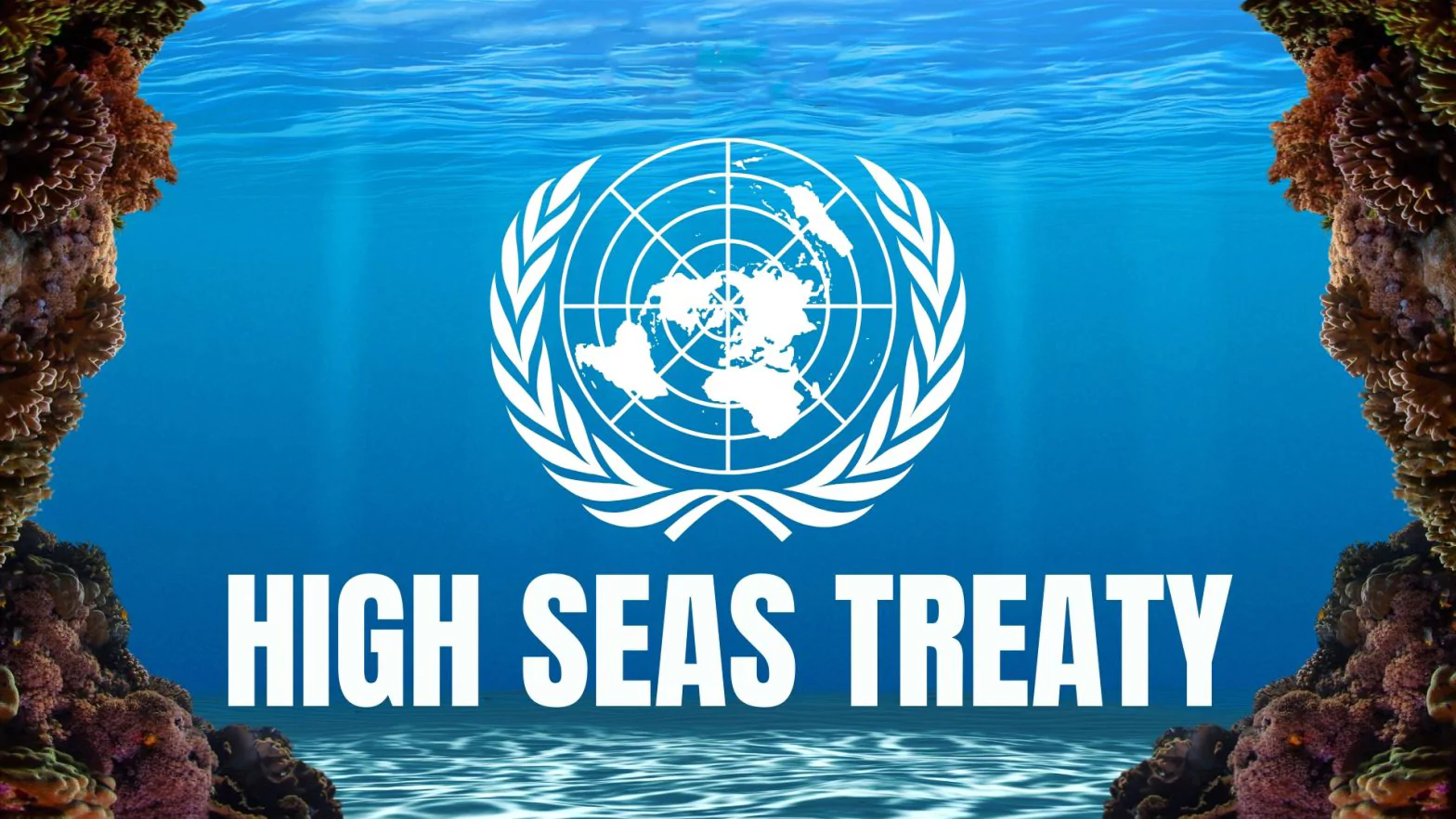 The High Seas Treaty