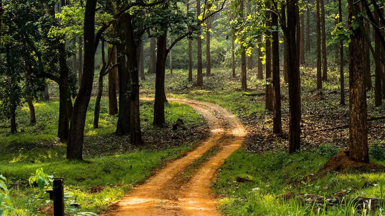 New Wildlife Corridors & Forest Conservation Initiatives in India