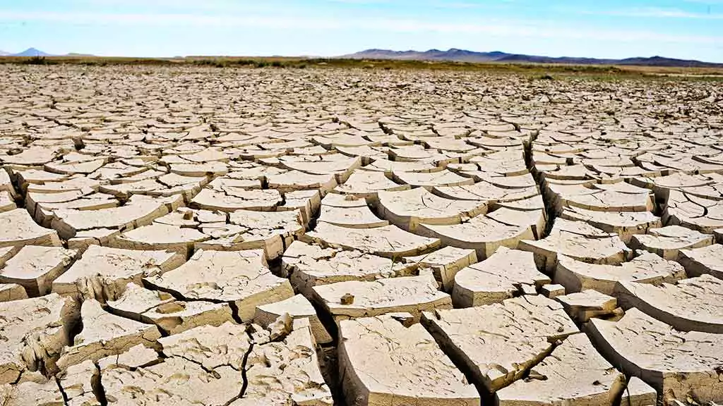 Impact of El Niño on Indian Monsoon