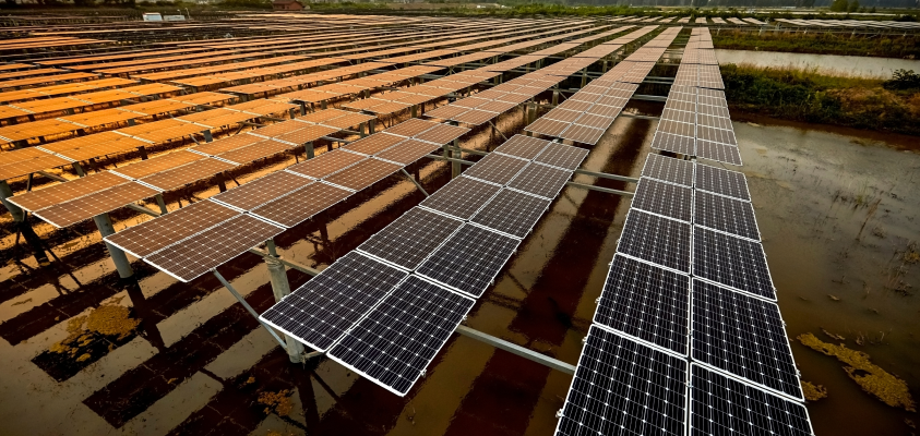 India’s Push for Decentralized Solar Energy