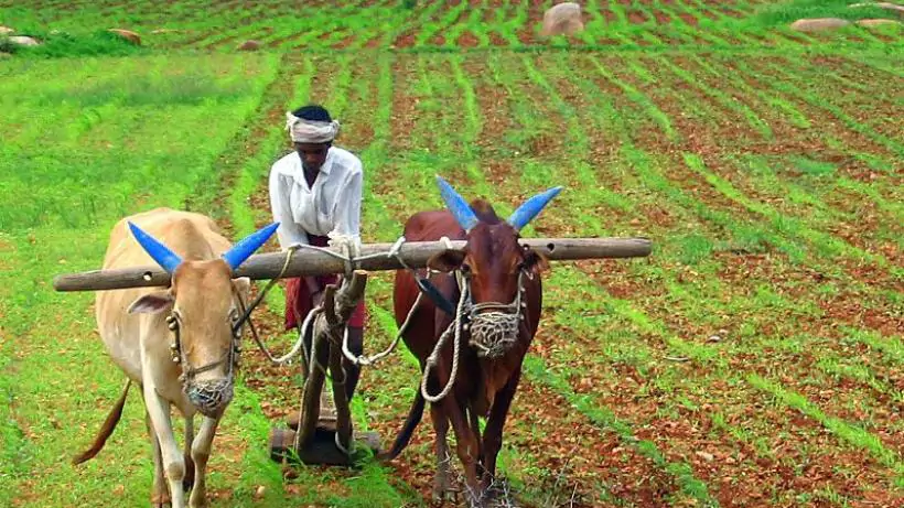 India’s Progress in Sustainable Agriculture and Organic Farming