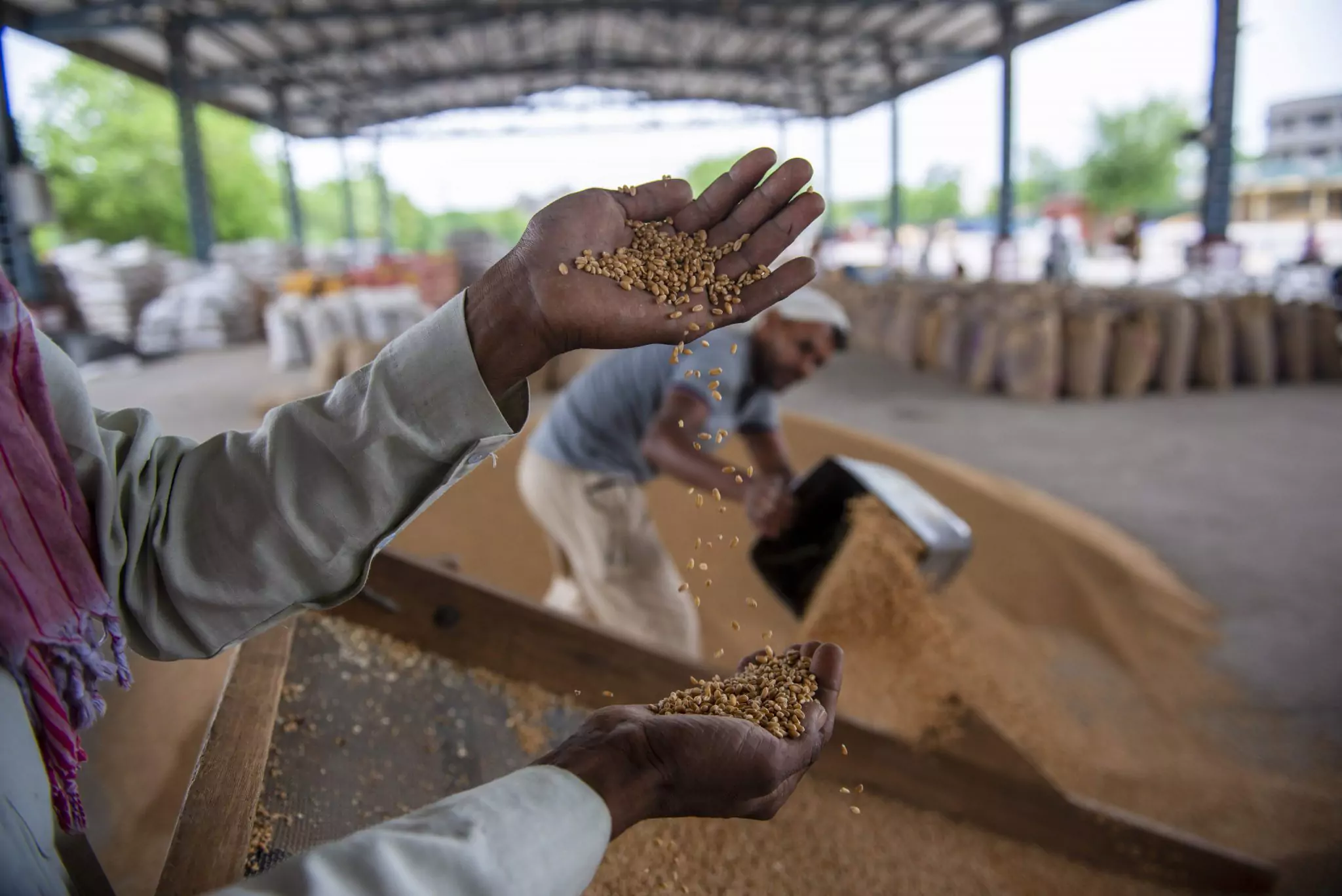  Famine and Food Security 