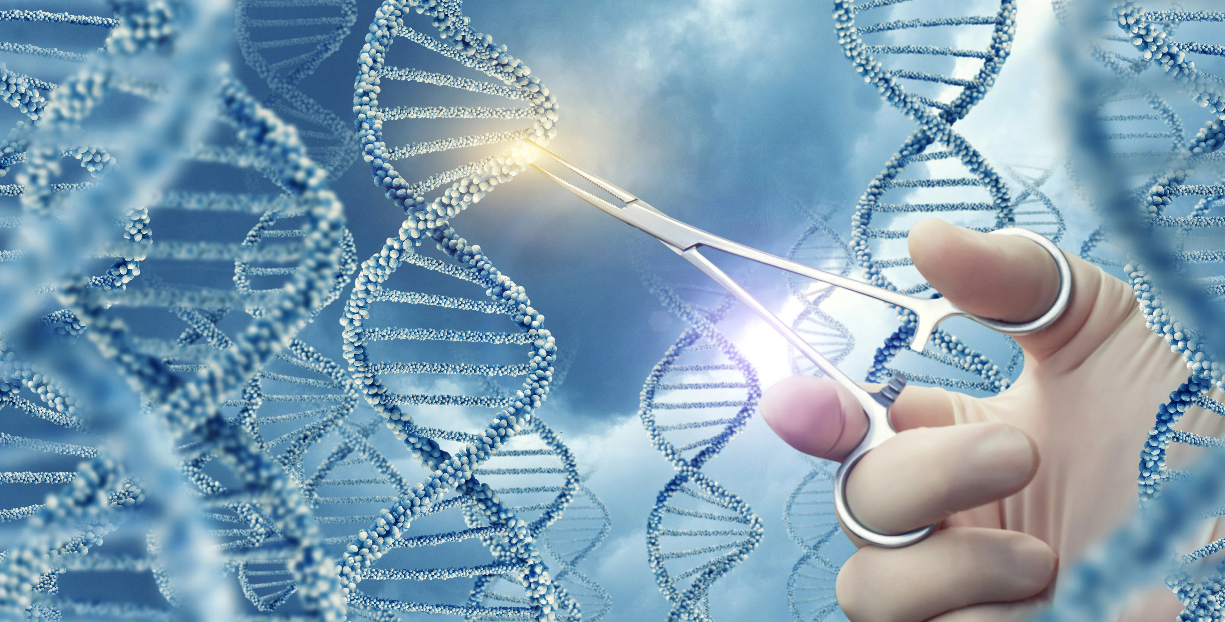  Genome India Project