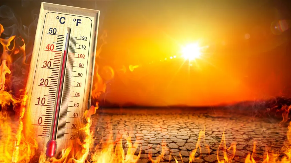 Heat Action Plans